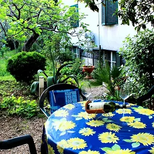 With Garden - Zuvan Croatie